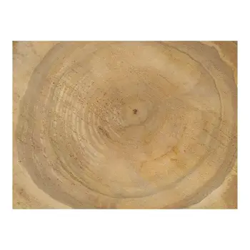 Plaster Orzecha Włoskiego 40x35x4cm