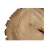 Plaster Orzecha Włoskiego 48x40x5cm