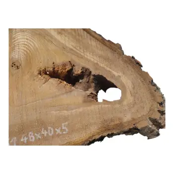 Plaster Orzecha Włoskiego 48x40x5cm