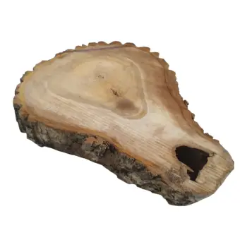 Plaster Orzecha Włoskiego 55x39x7cm