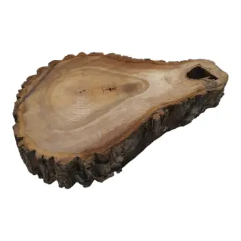 Plaster Orzecha Włoskiego 55x39x7cm