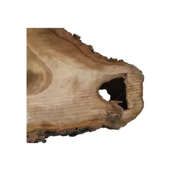 Plaster Orzecha Włoskiego 55x39x7cm