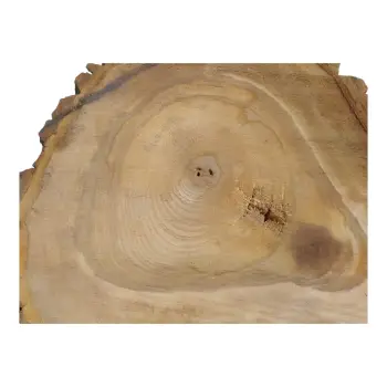 Plaster Orzecha Włoskiego 55x39x7cm