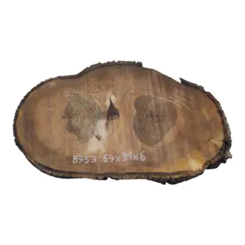 Plaster Orzecha Włoskiego 54x31x6cm