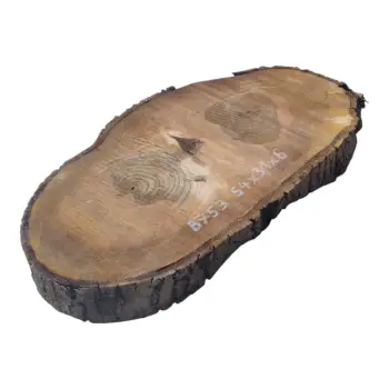 Plaster Orzecha Włoskiego 54x31x6cm