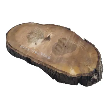 Plaster Orzecha Włoskiego 54x31x6cm