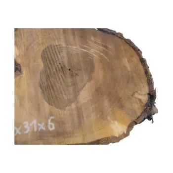 Plaster Orzecha Włoskiego 54x31x6cm