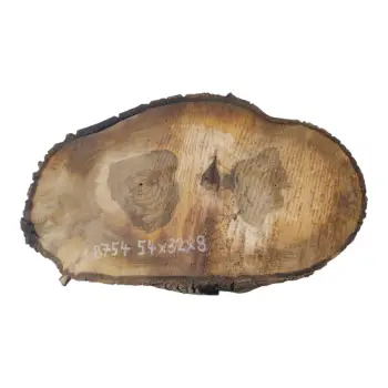 Plaster Orzecha Włoskiego 54x32x8cm