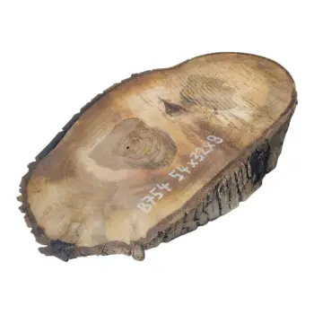 Plaster Orzecha Włoskiego 54x32x8cm