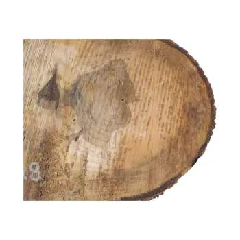 Plaster Orzecha Włoskiego 54x32x8cm