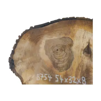 Plaster Orzecha Włoskiego 54x32x8cm