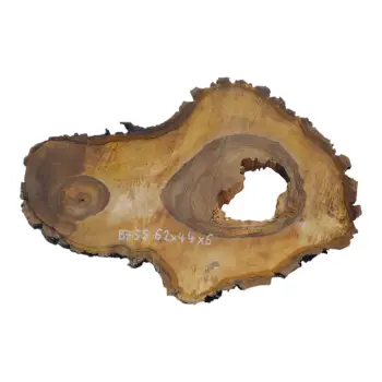 Plaster Orzecha Włoskiego 62x44x6cm