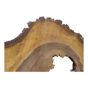 Plaster Orzecha Włoskiego 62x44x6cm