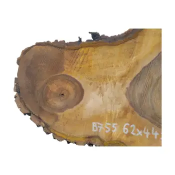 Plaster Orzecha Włoskiego 62x44x6cm
