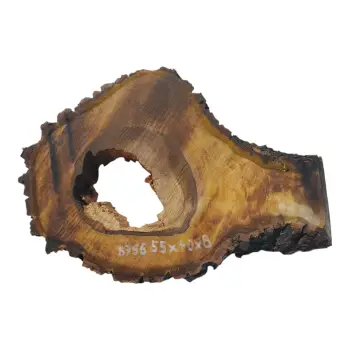 Plaster Orzecha Włoskiego 55x40x8cm