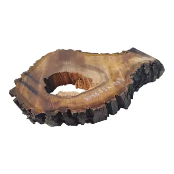 Plaster Orzecha Włoskiego 55x40x8cm