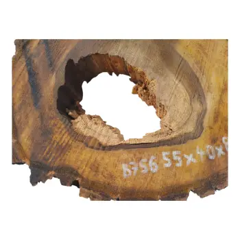 Plaster Orzecha Włoskiego 55x40x8cm