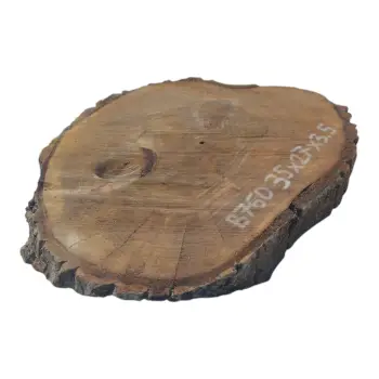 Plaster Orzecha Włoskiego 35x27x3,5cm