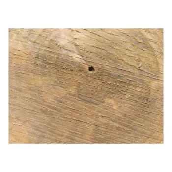 Plaster Orzecha Włoskiego 24x23x3,5cm