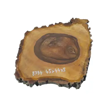 Plaster Orzecha Włoskiego 45x44x5cm