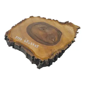 Plaster Orzecha Włoskiego 45x44x5cm