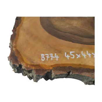 Plaster Orzecha Włoskiego 45x44x5cm
