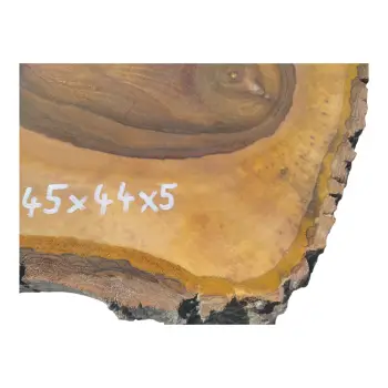 Plaster Orzecha Włoskiego 45x44x5cm