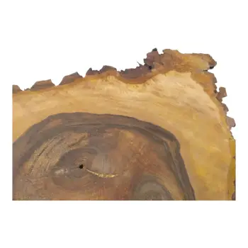 Plaster Orzecha Włoskiego 45x44x5cm