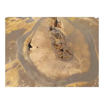 Plaster Orzecha Włoskiego 60x57x9cm