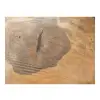 Plaster Orzecha Włoskiego 43x37x5cm