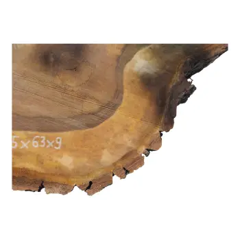 Plaster Orzecha Włoskiego 65x63x9cm