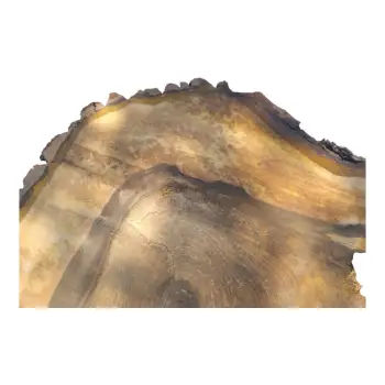 Plaster Orzecha Włoskiego 65x63x9cm