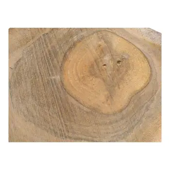 Plaster Orzecha Włoskiego 35x29x3,5cm