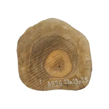 Plaster Orzecha Włoskiego 29x29x3,5cm