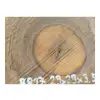 Plaster Orzecha Włoskiego 29x29x3,5cm