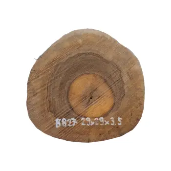 Plaster Orzecha Włoskiego 29x29x3,5cm