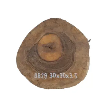 Plaster Orzecha Włoskiego 30x30x3,5cm