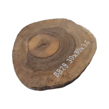 Plaster Orzecha Włoskiego 30x30x3,5cm