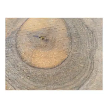 Plaster Orzecha Włoskiego 30x30x3,5cm