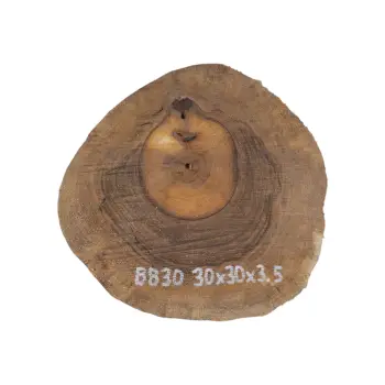 Plaster Orzecha Włoskiego 30x30x3,5cm