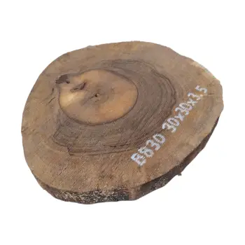 Plaster Orzecha Włoskiego 30x30x3,5cm