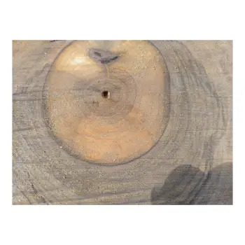 Plaster Orzecha Włoskiego 30x30x3,5cm