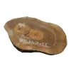 Plaster Orzecha Włoskiego 45x28x3,5cm
