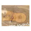 Plaster Orzecha Włoskiego 45x28x3,5cm