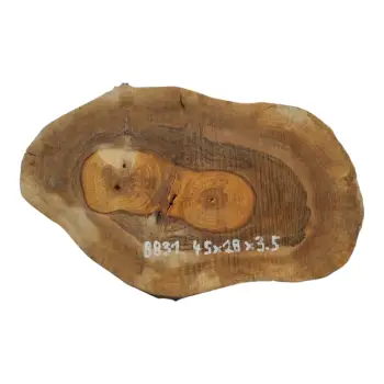 Plaster Orzecha Włoskiego 45x28x3,5cm