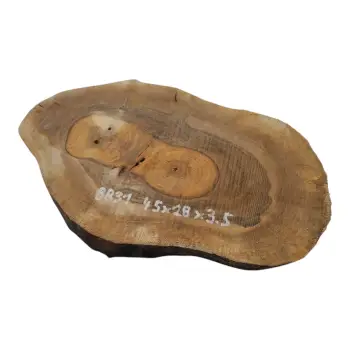 Plaster Orzecha Włoskiego 45x28x3,5cm