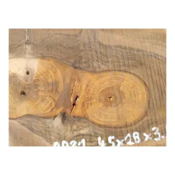 Plaster Orzecha Włoskiego 45x28x3,5cm