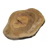 Plaster Orzecha Włoskiego 38x29x3,5cm