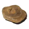 Plaster Orzecha Włoskiego 38x29x3,5cm