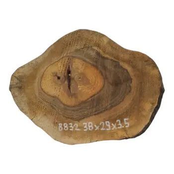 Plaster Orzecha Włoskiego 38x29x3,5cm